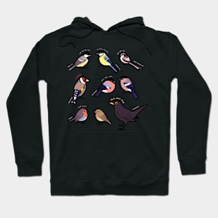 Garden Birds of Britain Hoodie